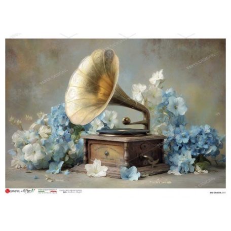 Paper design rizspapír  - A5 - 22,5x16 cm - Old Objects - 0051