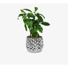 Kerámia kaspó Moon - Ezüst - 16x13 cm - Raktáron