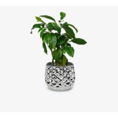 Kerámia kaspó Moon - Ezüst - 16x13 cm - Raktáron