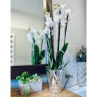 Kerámia kaspó - Glamour - Ezüst - 14x15 cm