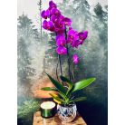 Kerámia kaspó - Glamour - Ezüst - 14x15 cm