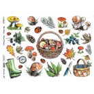 Cadence rizspapír - A4 - 21x30 cm - 028