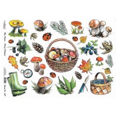 Cadence rizspapír - A4 - 21x30 cm - 028