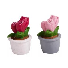 Tulipán cserépben - 4 cm - 2 db-os szett