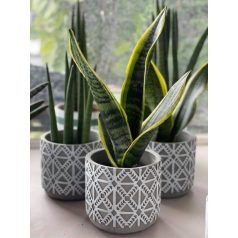 Beton kaspó - Rustic - Szürke - 14x13 cm