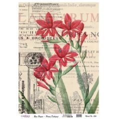 Cadence rizspapír - A4 - 21x30 cm - 056 - Raktáron