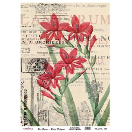 Cadence rizspapír - A4 - 21x30 cm - 056 - Raktáron