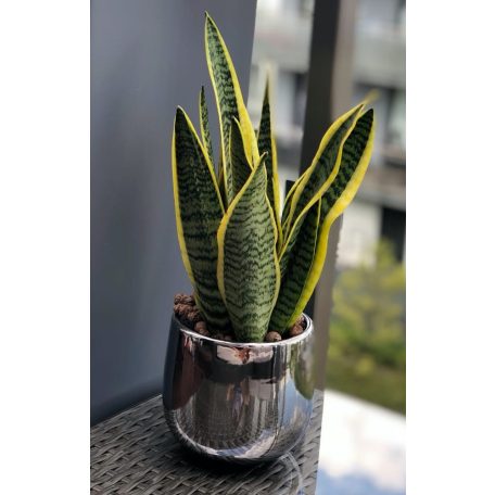 Kerámia kaspó - Moon - Ezüst - 15x13 cm - Raktáron