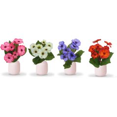 Primula virág - 4 féle - 30 cm