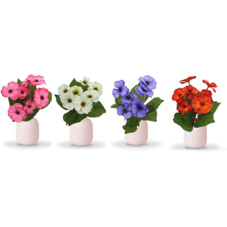 Primula virág - 4 féle - 30 cm