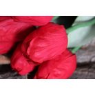 Piros mű bimbózó tulipán levelekkel - 65 cm