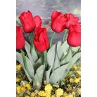 Piros mű tulipán levelekkel - 67 cm