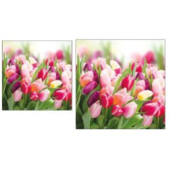   Ambiente papírszalvéta - Glorious Tulips - 25x25 cm, 33x33 cm - 20 db/csomag