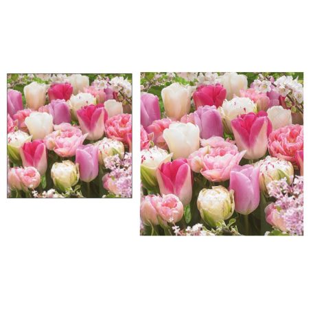 Ambiente papírszalvéta - Pink Tulips - 25x25 cm, 33x33 cm - 20 db/csomag