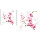 Ambiente papírszalvéta - Orchid - 33x33 cm - 20 db/csomag