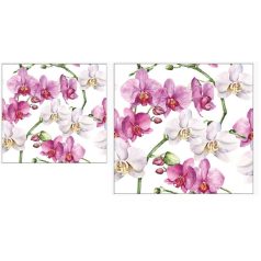   Ambiente papírszalvéta - Elegant orchids white - 25x25 cm, 33x33 cm - 20 db/csomag