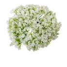 Apró virágos koszorú - Fehér - 20 cm 