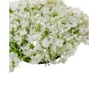 Apró virágos koszorú - Fehér - 20 cm 