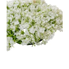 Apró virágos koszorú - Fehér - 20 cm 
