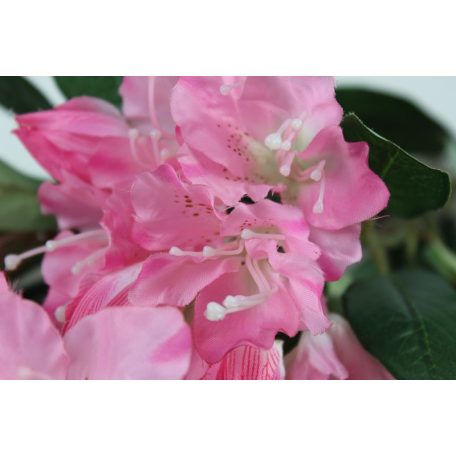 Rózsaszín mű havasszépe szárral, levelekkel - 79 cm