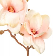 Magnólia ág - 3 virágos - Barack - 50 cm