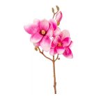 Magnólia ág - 3 virágos - Rózsaszín - 50 cm 