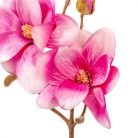 Magnólia ág - 3 virágos - Rózsaszín - 50 cm 