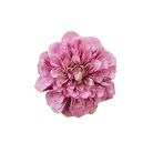 Rózsaszín mű rézvirág (zinnia) - 15 cm