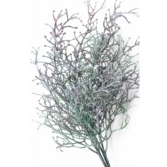 Zöldeslila mű aggófű (senecio) hajtás - 40 cm