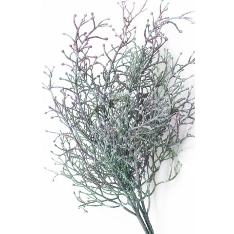 Zöldeslila mű aggófű (senecio) hajtás - 40 cm