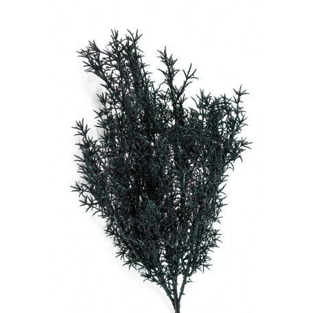 Fekete mű aszparágusz csillámmal - 50 cm