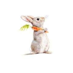   PPD papírszalvéta - Rabbit & Carrot - 33x33 cm - 20 db/csomag