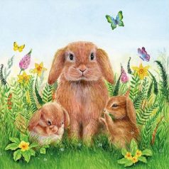   Ambiente papírszalvéta - Rabbit Family - 33x33cm - 20 db/csomag