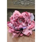 Ciklámen nagy bársony bazsarózsa - 19 cm 