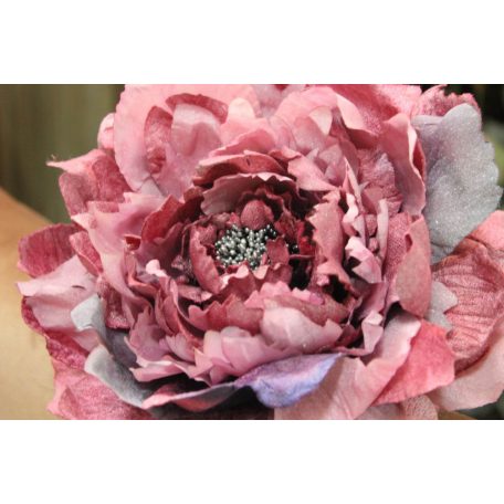 Ciklámen nagy bársony bazsarózsa - 19 cm 