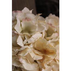 Krémszínű hortenzia fej - 20 cm