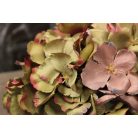 Antikzöld hortenzia fej - 20 cm 