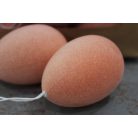 Lazac színű tojások  7cm - 21db   