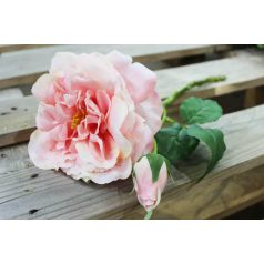 Lazac színű mű kerti rózsa - 36 cm