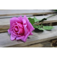 Ciklámen mű virágzó rózsa - 74 cm