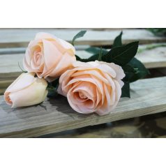 Barack színű mű háromvirágú rózsa - 73 cm