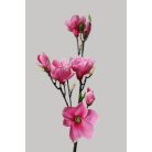 Ciklámen mű magnólia - 104 cm