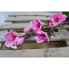 Ciklámen mű magnólia - 104 cm