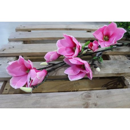 Ciklámen mű magnólia - 104 cm
