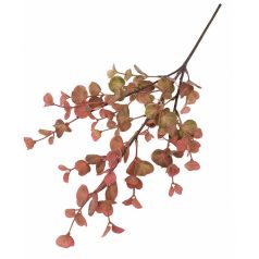  Mini eukalypthus - Rózsaszín - 48 cm