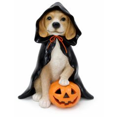 Halloween kutya figura tökkel -  38,7 cm