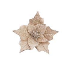 Krém mikulásvirág - 18 cm