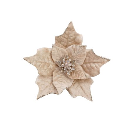 Krém mikulásvirág - 18 cm