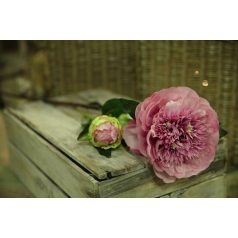 Rózsaszín bazsarózsa - 90 cm
