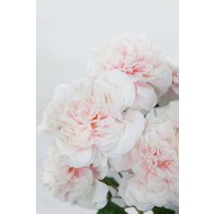 Mű bazsarózsa csokor - Rózsaszín - 54 cm